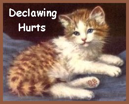 Declawing Hurts!