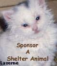 Sponsor A Shelter Animal Ring