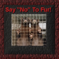Say NO to Fur!